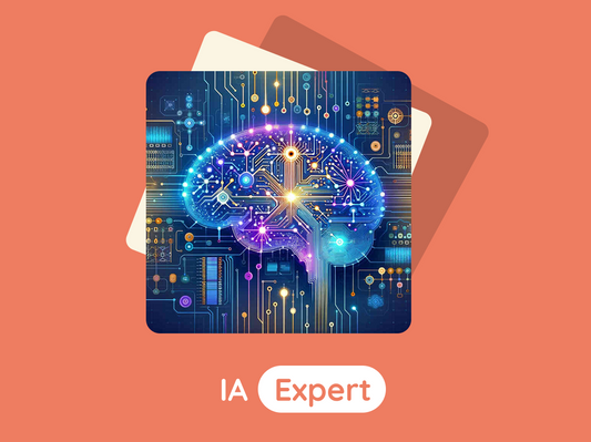IA Expert / 3ème-Lycée