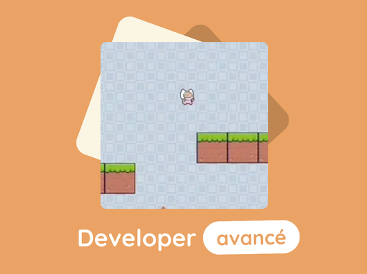 DEVELOPER AVANCÉ / 4ème-3ème-Lycée